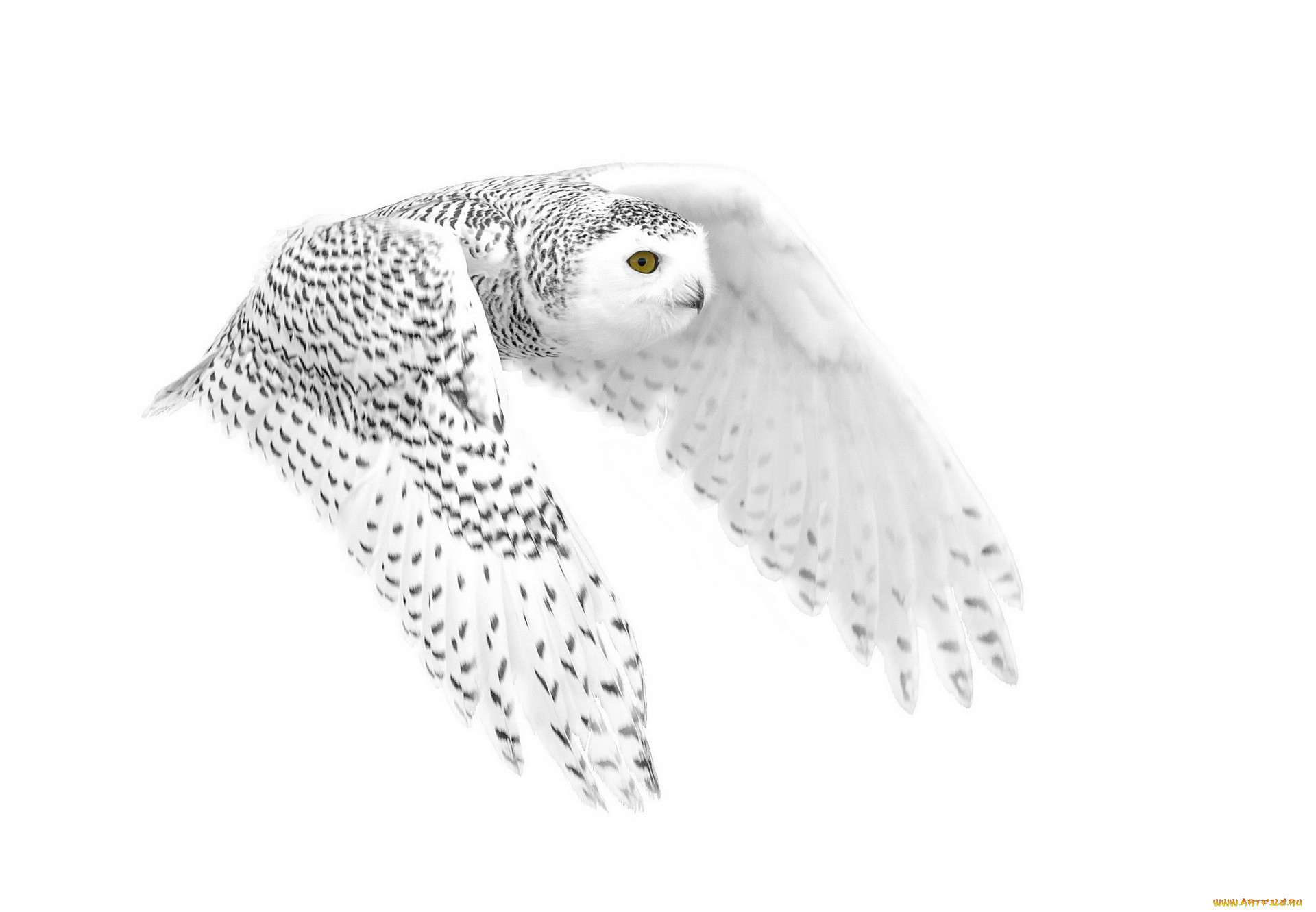 , , , , , 